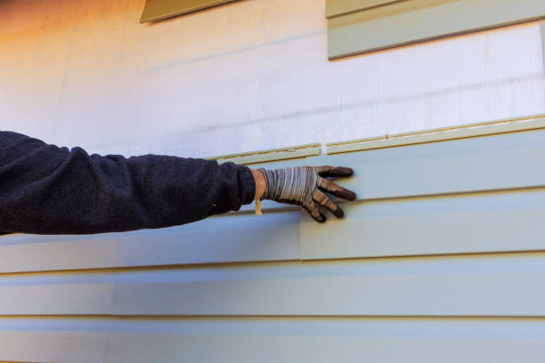 Affordable Siding Repair and Maintenance Services in Reynoldsburg, OH